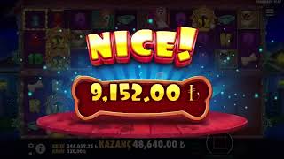 DOG HOUSE MEGAWAYS BİGWİN #slot #casinooyunlari #casino #slotizle #slotoyunları #jackpot