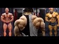 COMPLETE SHOULDER WORKOUT | BUILDING HUGE DELTOIDS | IFBB PRO'S