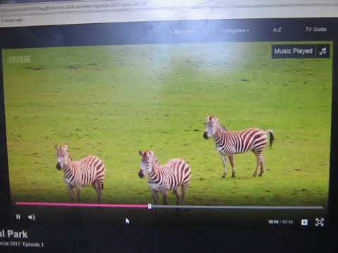 Longleat Giraffes, Zebras and Wildebeest