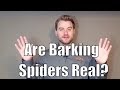 Are Barking Spiders Real