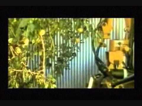 The Farmazony - Nowy wspaniały świat / Breave new world