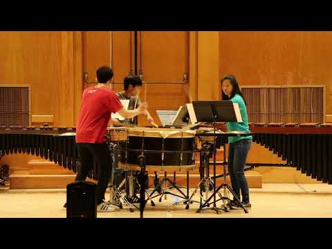 Trio Per Uno by Nebojsa Zivkovic