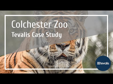 Colchester Zoo - Customer Success Story (Caitlin Jones - IT and Systems Administrator)
