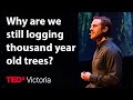 One Last Shot to Protect Old-Growth Forests in British Columbia | TJ Watt | TEDxVictoria