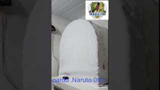 Pardo 015