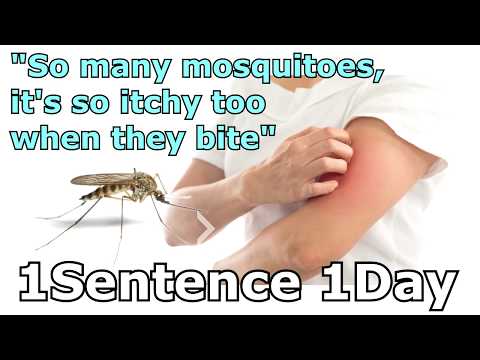 [1Sentence 1Day] 19-How to say "So many mosquitoes, it's itchy too when they bite."