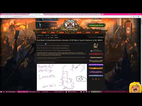 3.1 Path of Exile Build Starter Build Guides and Resources | Demi 'Splains