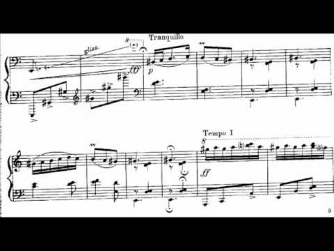 Paul Constantinescu - Toccata "Joc Dobrogean "
