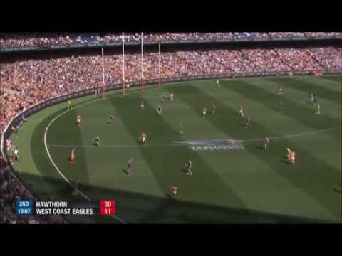 Goal of the year for Luke hodge Grand Final 2015