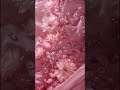 Flower Wallpaper Ideas