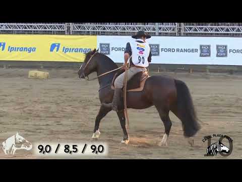 PN Cambiasso  - Freio de Ouro 2017 (VSP e Esbarrada)