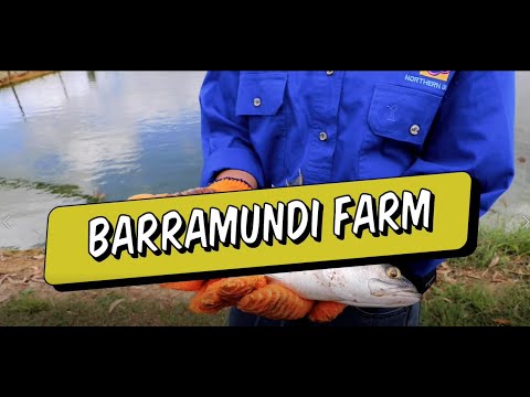 , title : 'Heywire Paddock to Plate - Barramundi Farm'