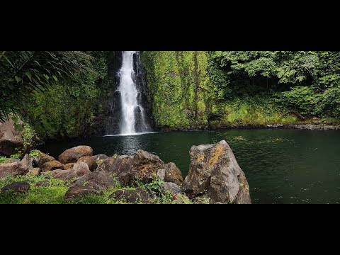 Negro Bey X Piruchi Apo - Böhula (Official Video)