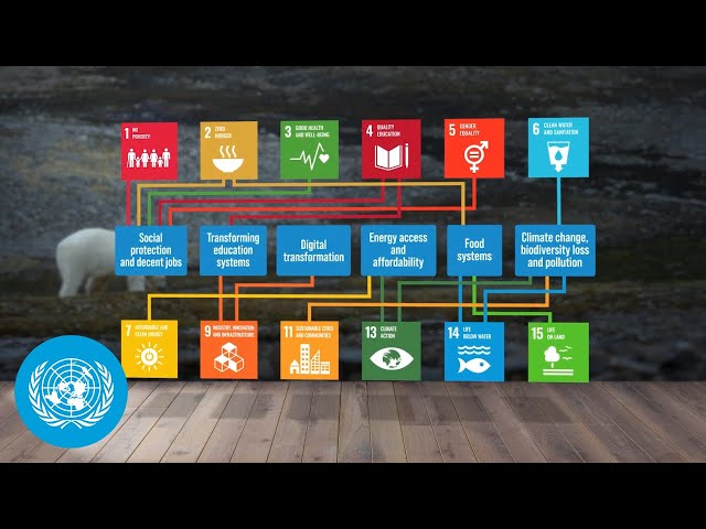 What it will take to achieve the SDGs?