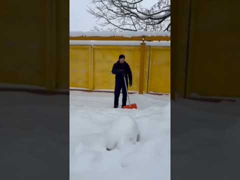 Активисты Лепельского районного отделения Витебской области Белорусской партии «Белая Русь» присоединились к работе коммунальных служб