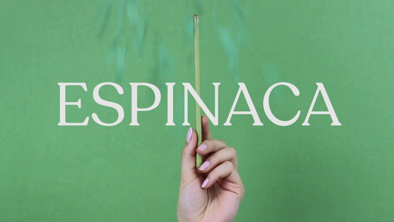 ✏️ ¡PRESENTAMOS LOS LÁPICES CON SEMILLAS QUE SE PLANTAN!