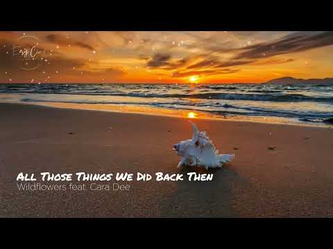 Wildflowers feat Cara Dee  - All Those Things We Did Back Then