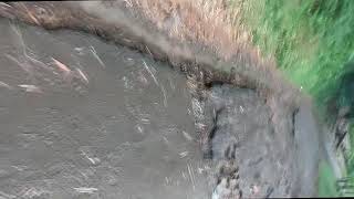 Download lagu KUMPULAN Lagu India Untuk Pagi Hari | Lagu India Teman Beres-Beres Rumah | Lagu India Populer  mp3