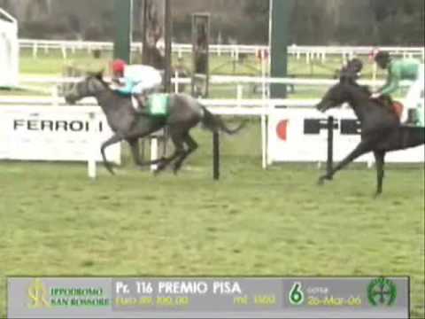 Corse cavalli: Compilation Magic Box