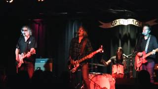 The Baseball Project "They Don't Know Henry" live @ Grey Eagle, Asheville, NC 6.19.2015