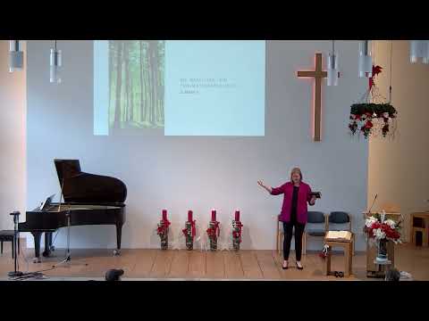 Gottes Antwort auf Schmerz und Trauma. Die Reise Israels - Predigt mit Sarah Riedel