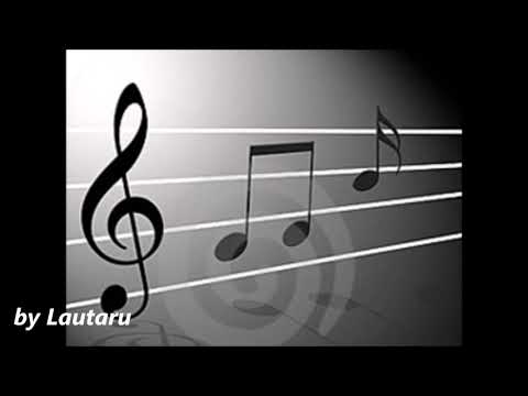 Lipy de la Orsova   Am venit aseara beat by Lautaru