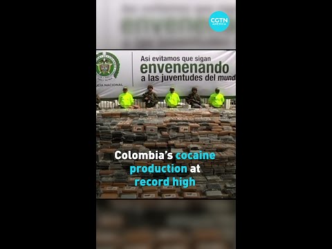 Colombia’s cocaine production at record high