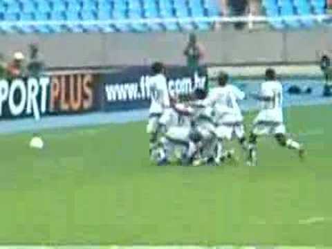 Botafogo 7x0 Macaé - Gol Lúcio Flávio 100 jogos c/ a camisa!