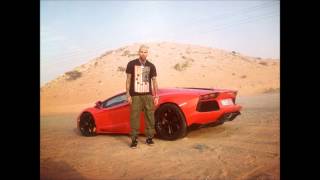 Pitbull feat DMX ft Chris Brown - It's official