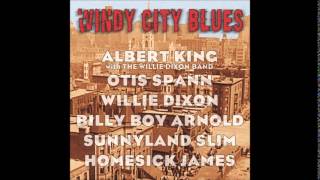 Albert King With The Willie Dixon Band - Need More Mama