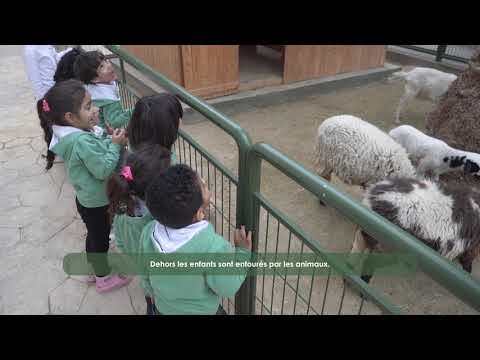 La Chrysalide, une école connectée à la nature ?