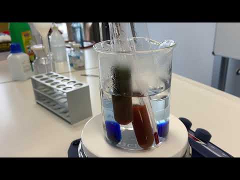 11. Klasse: Die Fehling Probe