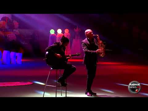 International Varese "Insubria Winner 2017" - Sunday - Musical entertainment