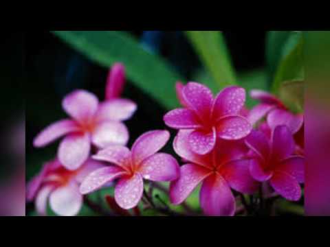 Kuku & Tara - Don't know much