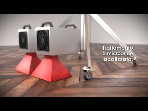 Elimina i tarli in modo naturale con BioTarl, il trattamento a microonde ideale per travi e parquet