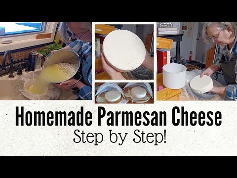 The Art of Cheesemaking 🧀 How to Make Parmesan Cheese