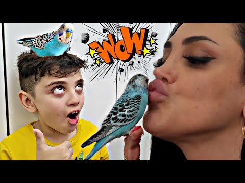 WE LOOKED AT THE BLUE WITH EFE AND EMİR FOR A DAY!!