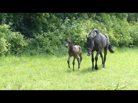 2016 06 02 2016 06 02 002 032