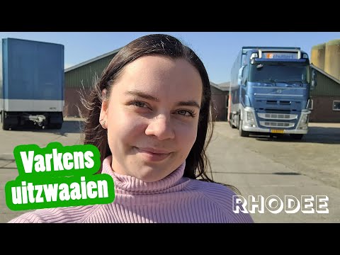 , title : 'Varkens uitzwaaien! - Rhodee's vlog #12 - Vloggende jonge boeren'