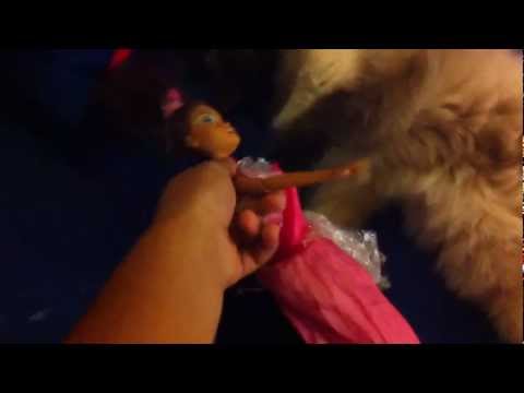 My Cat KISSING a DOLL