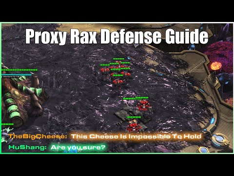 Proxy Rax Defense (ZvT) - Starcraft 2 Zerg Guide 2025
