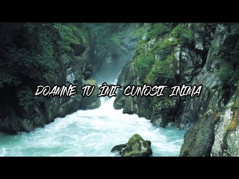 @MILIDINBARBULESTI  DOAMNE TU IMI CUNOSTI INIMA