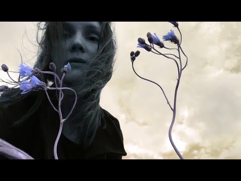 Echo Moth - 'Till You Merge [Official Video HD]