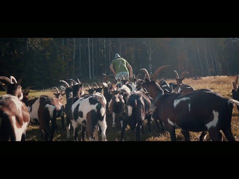 The Lonely Goatherd (Da Twinz Hardstyle Mix) - DJ Ostkurve feat  Daisy Raise (unofficial Video)