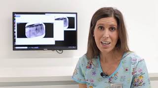 ¿Qué es la odontopediatría? ¿Cuándo tengo que llevar a mi hijo al dentista? - Clínica Máiquez - Clínica Dental Máiquez