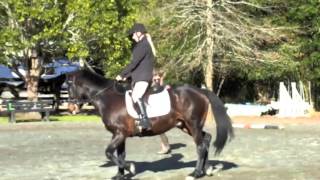 Our 2 year journey ♘ Astrid &amp; Tommi