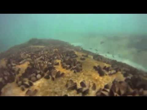 Kovalum artificial reef built with Elcorock mega container