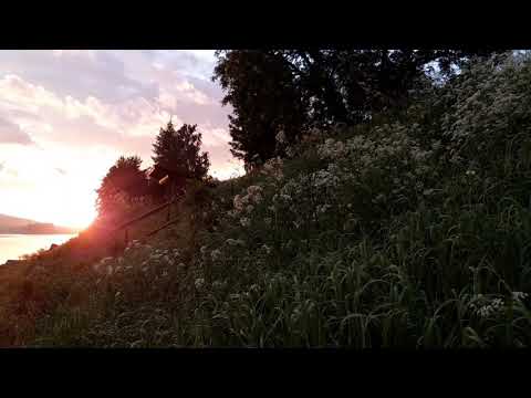 Keskiyön äänimaisemaa Turtolassa kesälä 2020