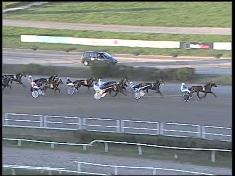 Trotto 20/11/2014 - 2° corsa