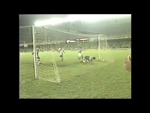 Fluminense 2 x 1 Vasco - Final do Campeonato Carioca de 1993